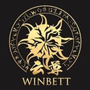 国际雪联世界杯大跳台赛中国选手惊艳