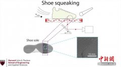运动鞋在球场上为何发出嘎吱声？最新研究揭秘源头提出调控方式