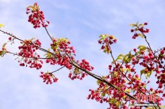 江西南昌：春暖花开 市民踏青休闲正当时